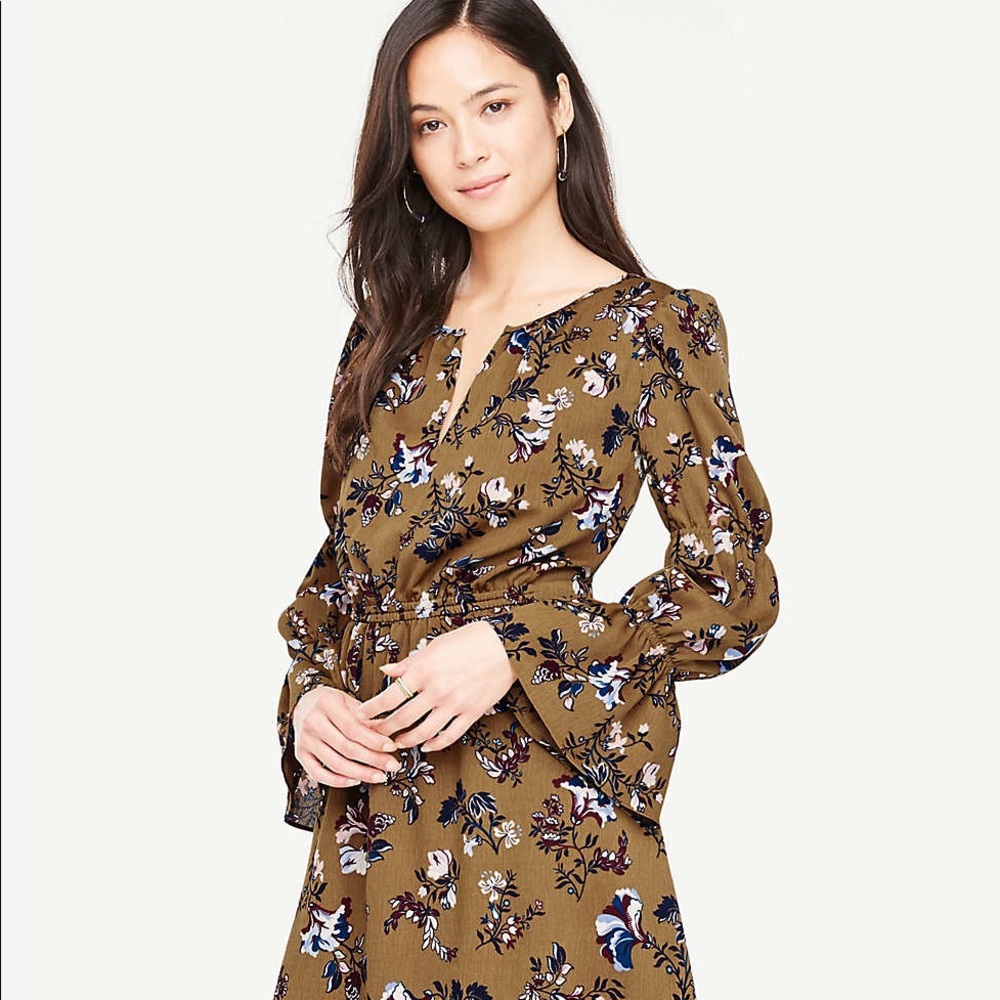 Ann Taylor Opulent Floral ruffle sleeve dress